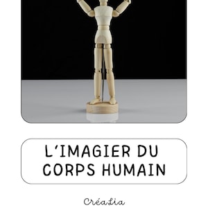 Imagier du corps humain avec de vraies images