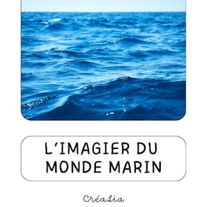 実際の画像で海洋世界を想像してください