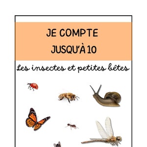 Cartes à associer - J’apprends à compter jusqu’à 10 - Thème Insectes et petites bêtes