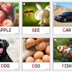ABC ANGLAIS - Imagier de l’alphabet en Anglais . Abécédaire en Anglais