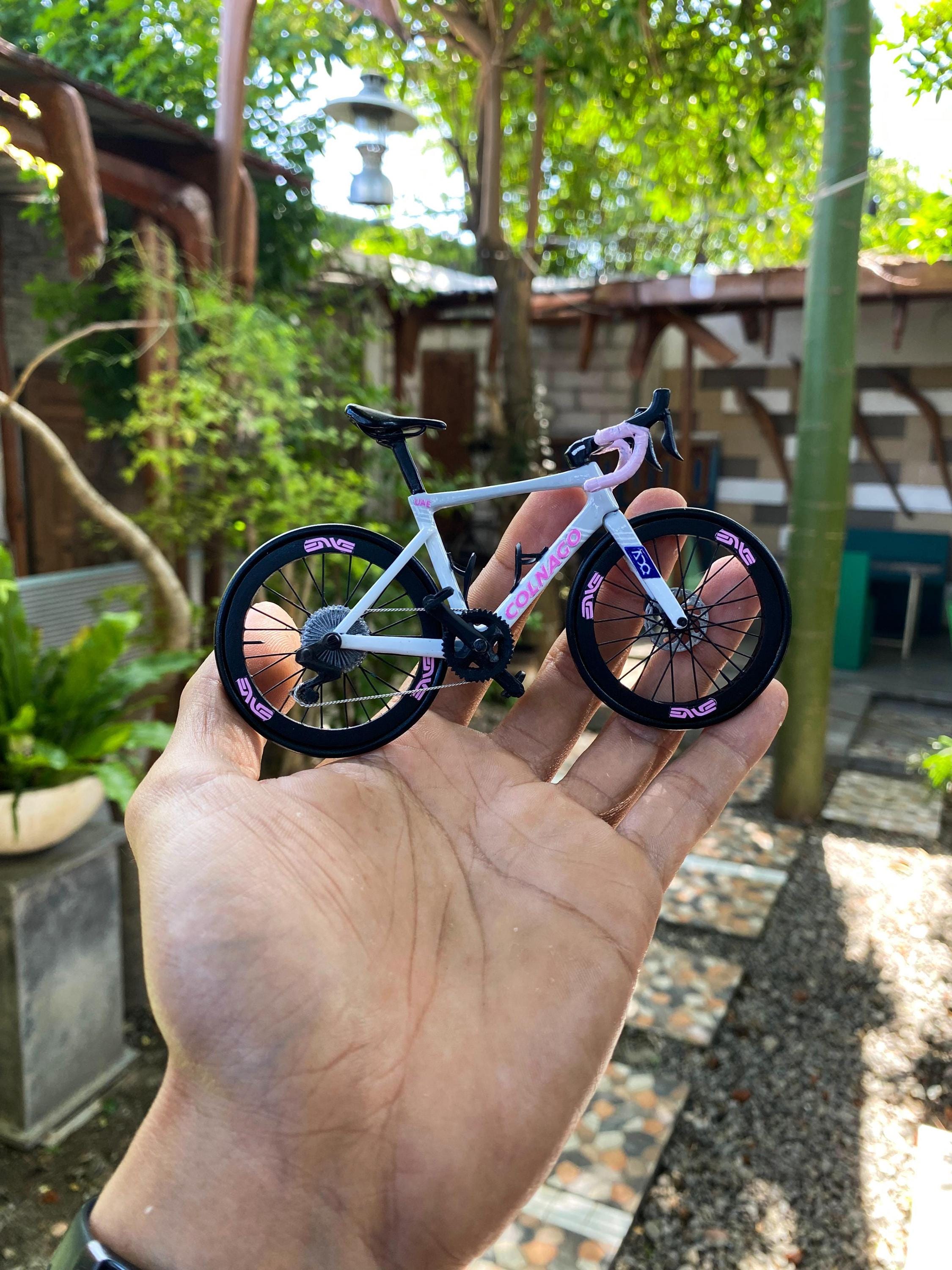 Colnago V5RS - Miniature Replica Handmade Bicycle - Cyclist Gift