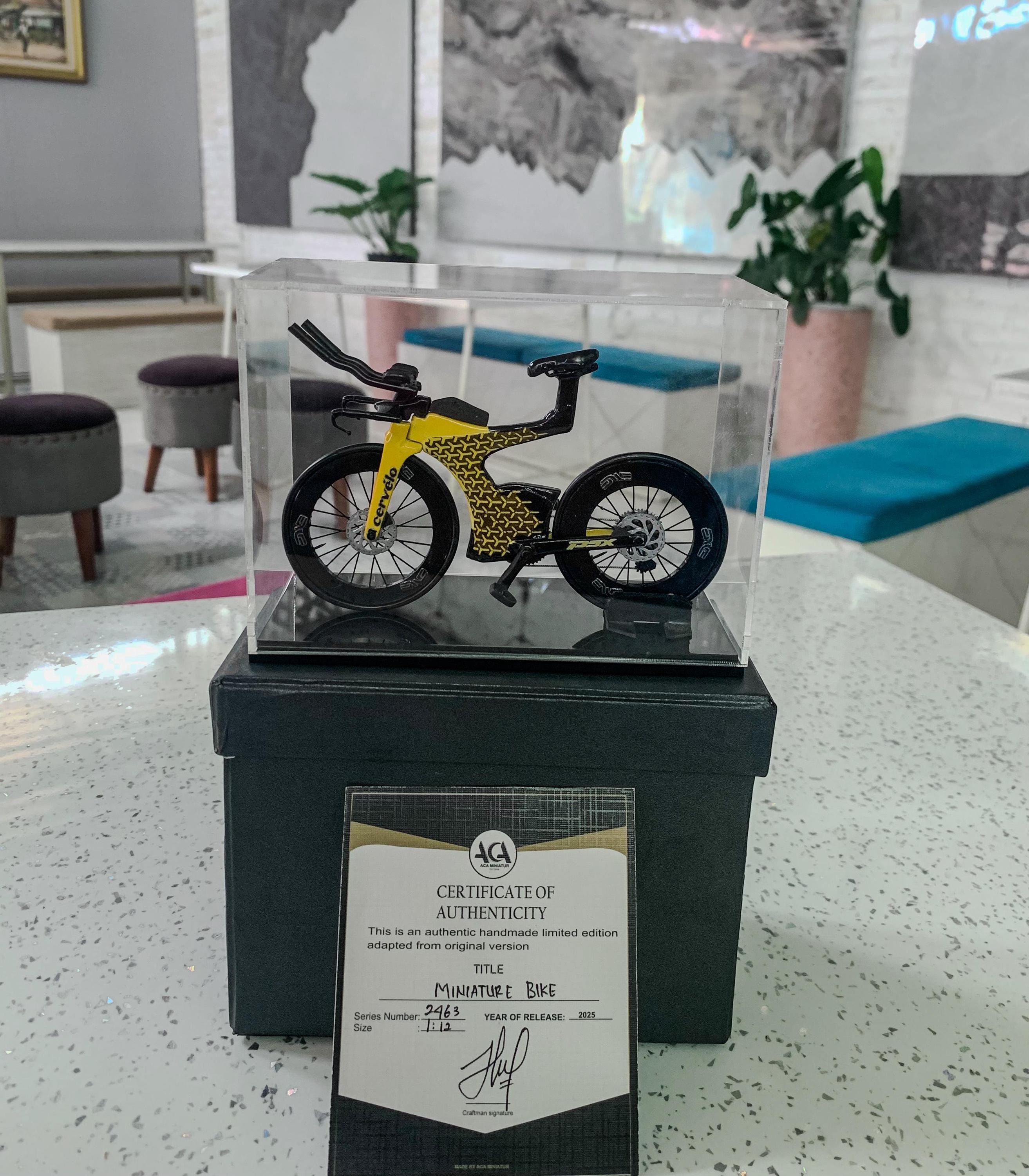 Cervelo P5x Lamborghini - Miniature Replica Handmade Bicycle