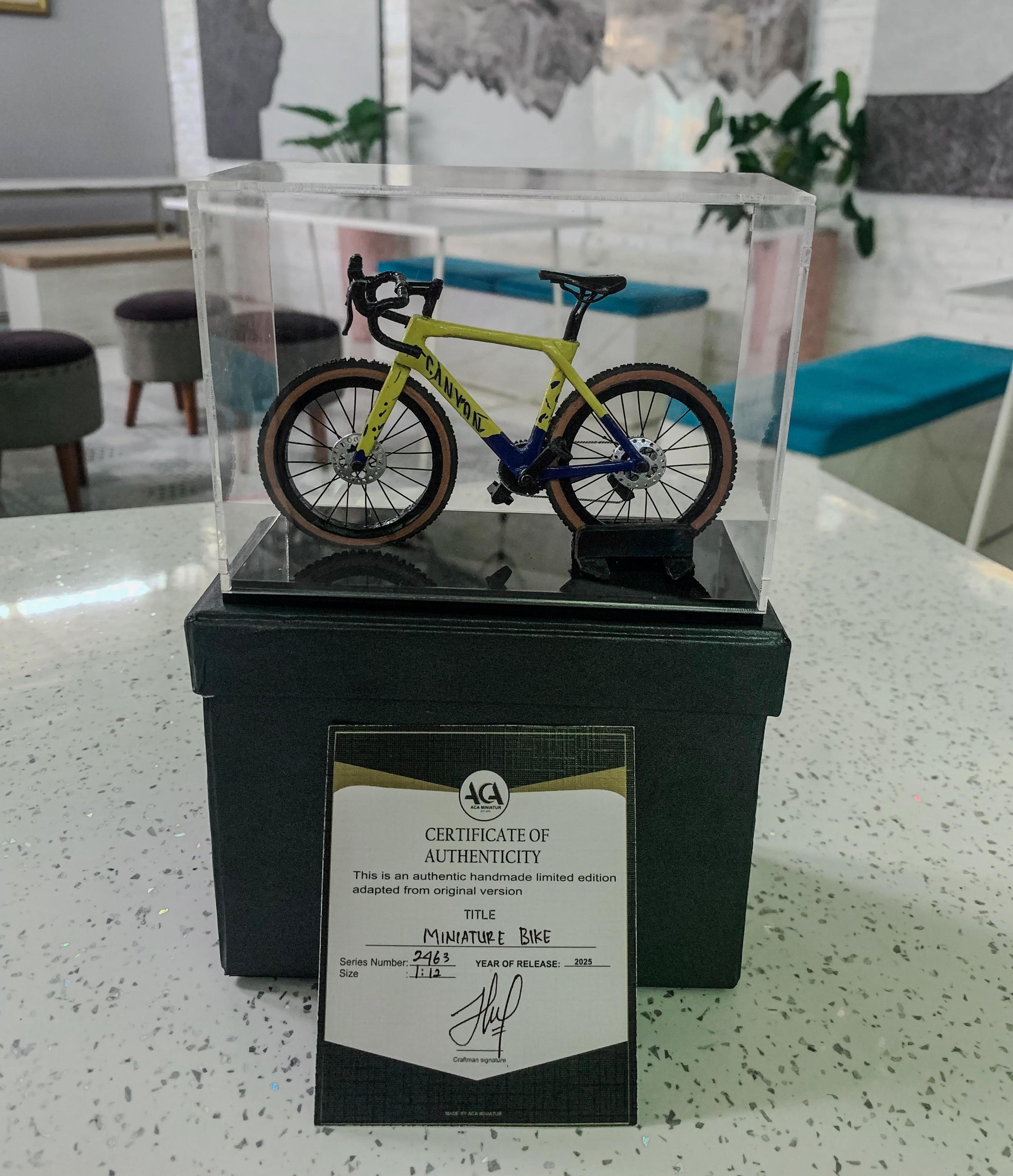 Canyon Gravel - Miniature Replica Handmade Bicycle - Cyclist Gift