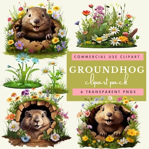 May include: A set of six digital clipart images featuring a groundhog peeking out of a hole surrounded by colourful wildflowers. The images are labelled "COMMERCIAL USE CLIPART GROUNDHOG clipart pack 6 TRANSPARENT PNGS".