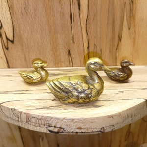 Ornate Brass Duck family