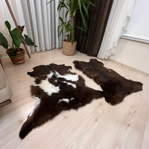 Set of 2 Toscana Sheepskin Rugs: Brown Curly Fur, Upholstery Material (80x55cm)