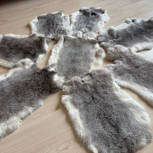 May include: A collection of six gray rabbit fur pelts with white edges. The pelts are arranged in a circle on a light wood floor.