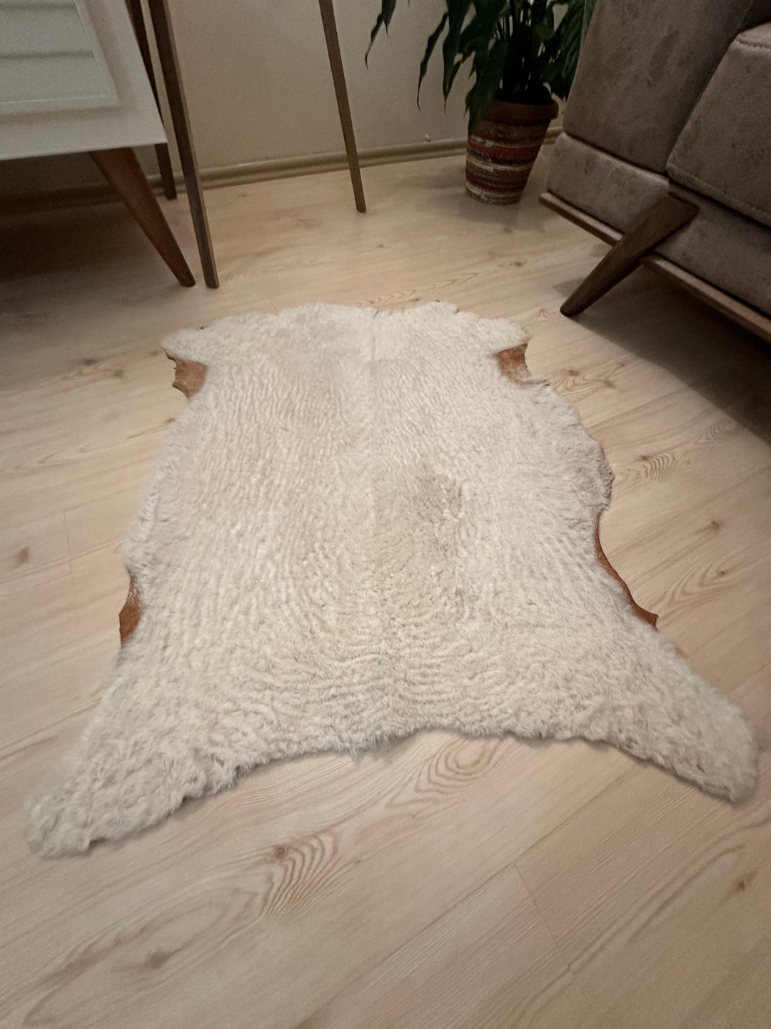 Beige Curly Sheepskin Rug: Genuine Soft Wool (80x60cm) - Etsy