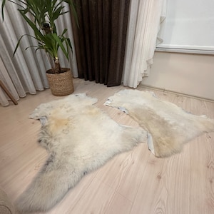 Set of 2 Toscana Sheepskin Rugs: Natural Curly Fur (80x55cm)