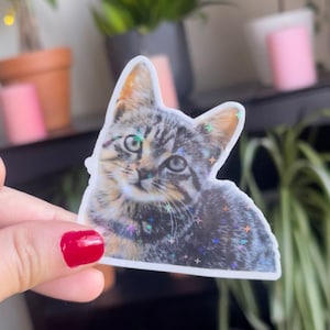 Holographics Custom pet stickers-Waterproof/pet photo sticker/Custom dog sticker/custom cat sticker-shiny/