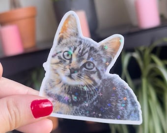 Holographics Custom pet stickers-Waterproof/pet photo sticker/Custom dog sticker/custom cat sticker-shiny/