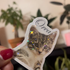 Holographic,Custom pet sticker with name, personalized animal photo sticker, custom pet photo sticker, custom dog , custom cat sticker