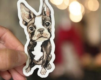Original watercolor Boston Terrier sticker