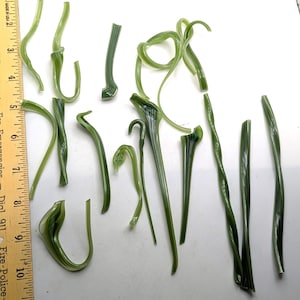 May include: A collection of various olive green glass rods and curved glass pieces with white striped accents, displayed next to a yellow wooden ruler that measures up to 10 inches, showing the varying lengths and shapes of the glass components.