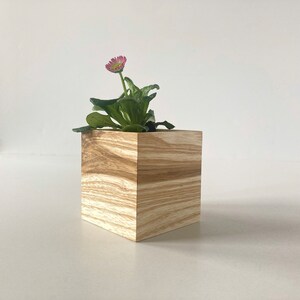 Kleiner Pflanztopf aus Holz, Blumentopf, Pflanzer für Schreibtisch, Geschenk für Freunde, Pflanzgefäß für Sukkulenten