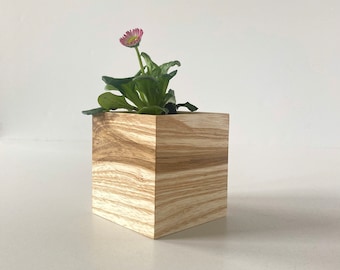 Petit Pot de plantes en bois, Pot de fleurs, jardinière de bureau, cadeau pour amis, jardinière succulente