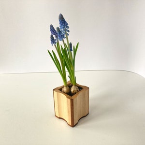 Blumentopf klein, Pflanztopf aus Holz, Pflanzgefäß aus Holz, Pflanzenständer, Pflanzenhalter, Pflanzer, Pflanzkübel, Geschenk
