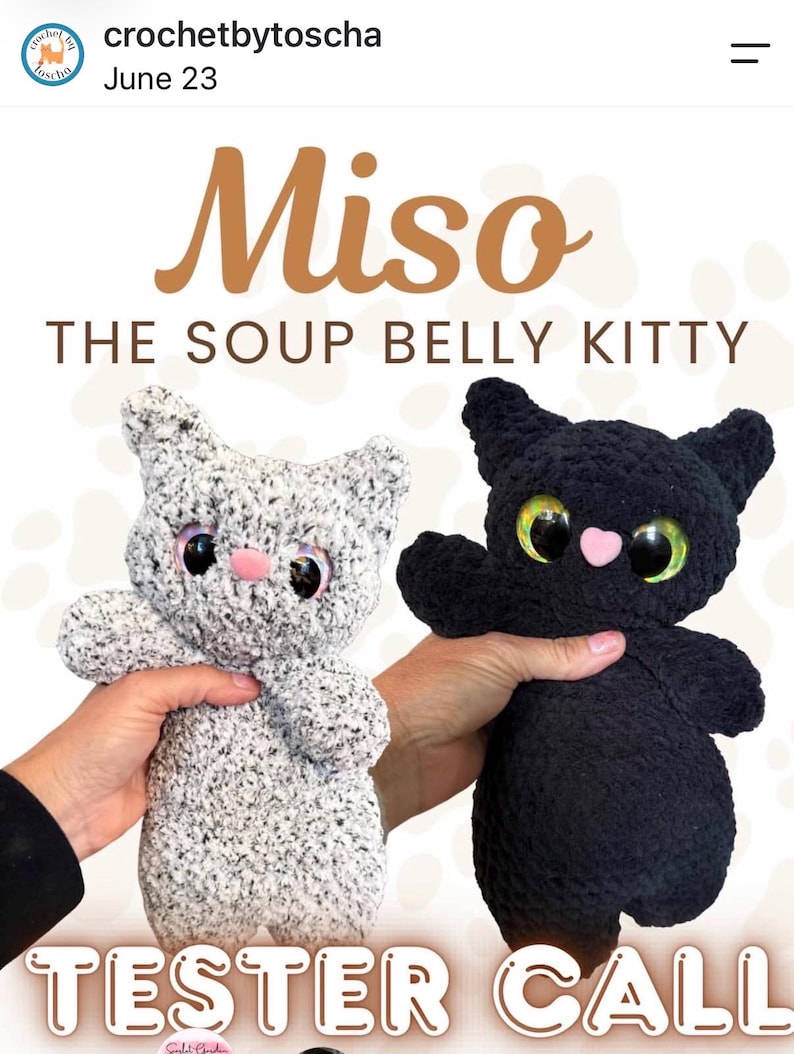 Pu&ograve; includere: Due peluche a forma di gatto, uno in filato grigio e bianco maculato e uno in filato nero tinta unita. Entrambi hanno grandi occhi verdi iridescenti e un piccolo naso rosa. Il testo recita Miso THE SOUP BELLY KITTY e TESTER CALL in bianco e marrone.