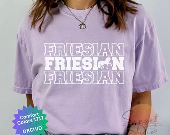 Friesisk häst - hästälskare - present till engelsk ridning - cowgirl - häst - present till draft häst - dressyrras