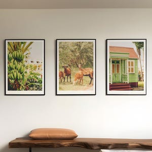 Caribbean Countryside Wall Decor, Barbados Culture Wall Art Photography Printable, Rustic Chattel House Artwork