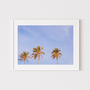 Pink Sunrise with Palm Trees Instant Digital Download, Aesthetic Beach Wall Decor, Coastal Beach Printable Wall Art
