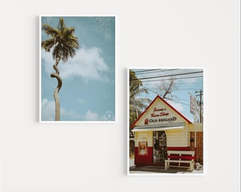 Conjunto fotográfico de Barbados: tienda de ron y palmera ondulada. Descarga instantánea.