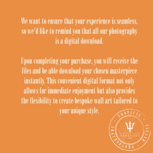 Puede incluir: Texto sobre un fondo naranja que dice: "Queremos asegurarnos de que tu experiencia sea perfecta, por lo que te recordamos que todas nuestras fotograf&iacute;as son descargas digitales. Al completar tu compra, recibir&aacute;s los archivos y podr&aacute;s descargar tu obra maestra elegida al instante. Este pr&aacute;ctico formato digital no solo permite disfrutar de inmediato, sino que tambi&eacute;n ofrece la flexibilidad de crear arte de pared a medida adaptado a tu estilo &uacute;nico." Un logotipo circular con un tridente y el texto "TROPICAL ISLAND PHOTOGRAPHY BARBADOS 2023" se encuentra en la esquina inferior derecha.