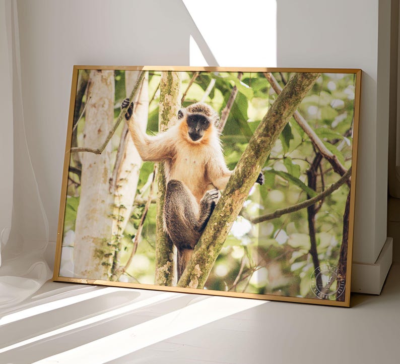 Monkey and Crab Digital Photography