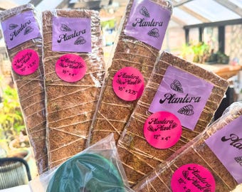 SAMPLE PACK PLANTERA Plank Stackable Bendable Coco Coir and Moss Plant Support Plank