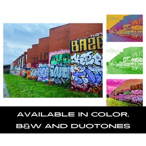 May include: A brick wall covered in colorful graffiti with the word "BAZE" painted in large letters. The graffiti features a variety of colors, including red, blue, green, yellow, and purple.