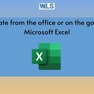 The Employee Vacation tracker is a spreadsheet compatible with Microsoft Excel.