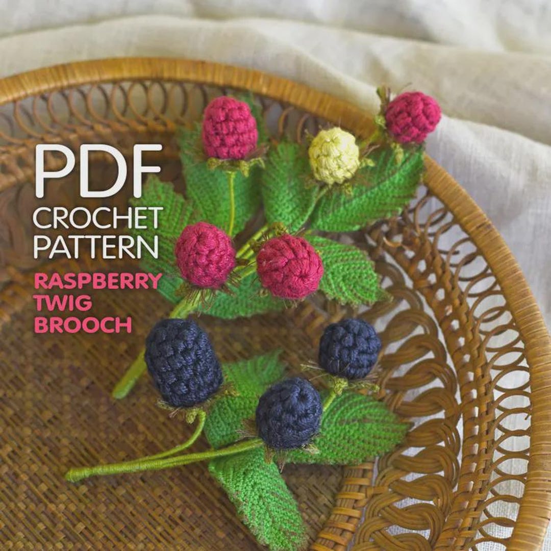 Easy Crochet Raspberry Raspberry Twig Brooch Crochet Pattern, English PDF - Etsy