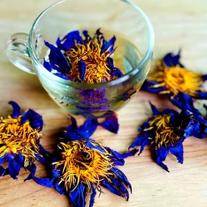 Blue Lotus Flower to Smoke - Etsy