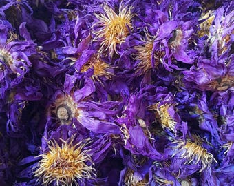 30g-1kg Blue Lotus, Organic - whole or cut | Nymphaea Caerulea, bulk organic blue lotus, blue lotus tea, blue lotus flower, bulk blue lotus