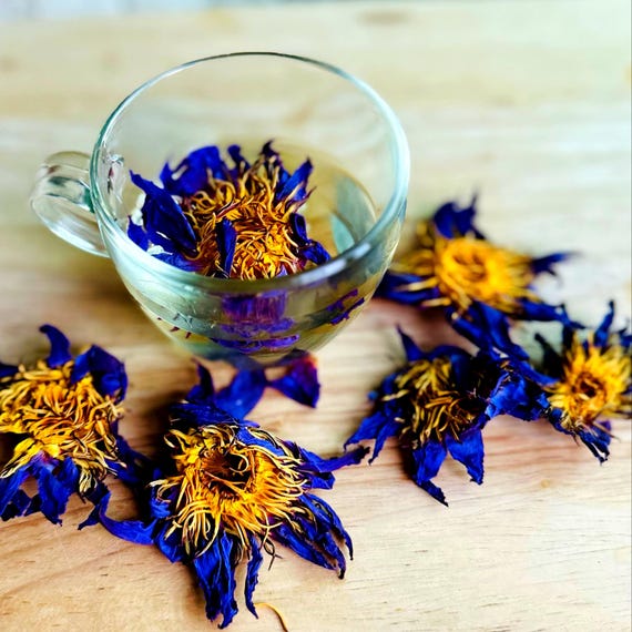 Organic Blue Lotus Flowers: Nymphaea Caerulea, Sri Lanka 30g - 1 kg