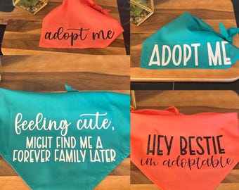 4 pack Bundle - Hey Bestie, I'm Adoptable; Adopt Me (2); Feeling Cute - Adopt Me Foster Pet Bandana - Triangle tie on - 26"/31.5"