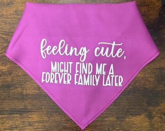 Feeling Cute Bandana - Adopt Me Foster Dog Bandana - Triangle Tie on - 26"/31.5"
