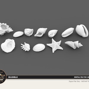 Pode incluir: Uma coleção de conchas brancas, incluindo búzios, amêijoas e uma estrela-do-mar, dispostas sobre um fundo cinzento. A imagem inclui o texto "Seashells" e "Digital File for 3D Printing".