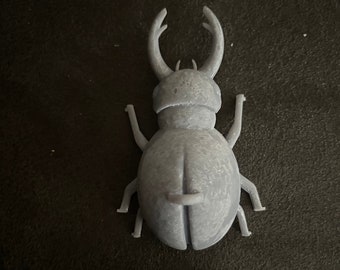 Stag Beetle Keychain