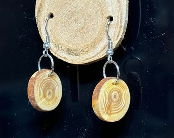Handcrafted twig wood earrings, stainless hooks