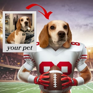 Personalized Digital Art, Custom Football Pet Portrait, Sports Dog Portrait, Custom Cat Portrait, Funny Pet Portrait, Sports Cat Portrait,