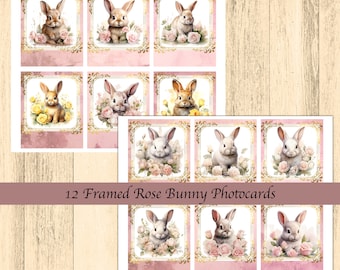 Rose Bunnies gerahmte Fotokarten 12x