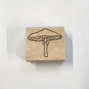 Tampon en caoutchouc champignon