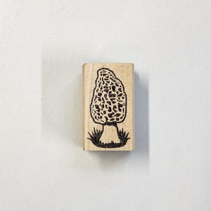 Selo de cogumelo morel