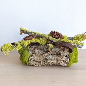 May include: A small, rustic arrangement of moss, twigs, and pine cones. The moss is a vibrant green, and the pine cones are brown. The arrangement is sitting on a light wood surface.