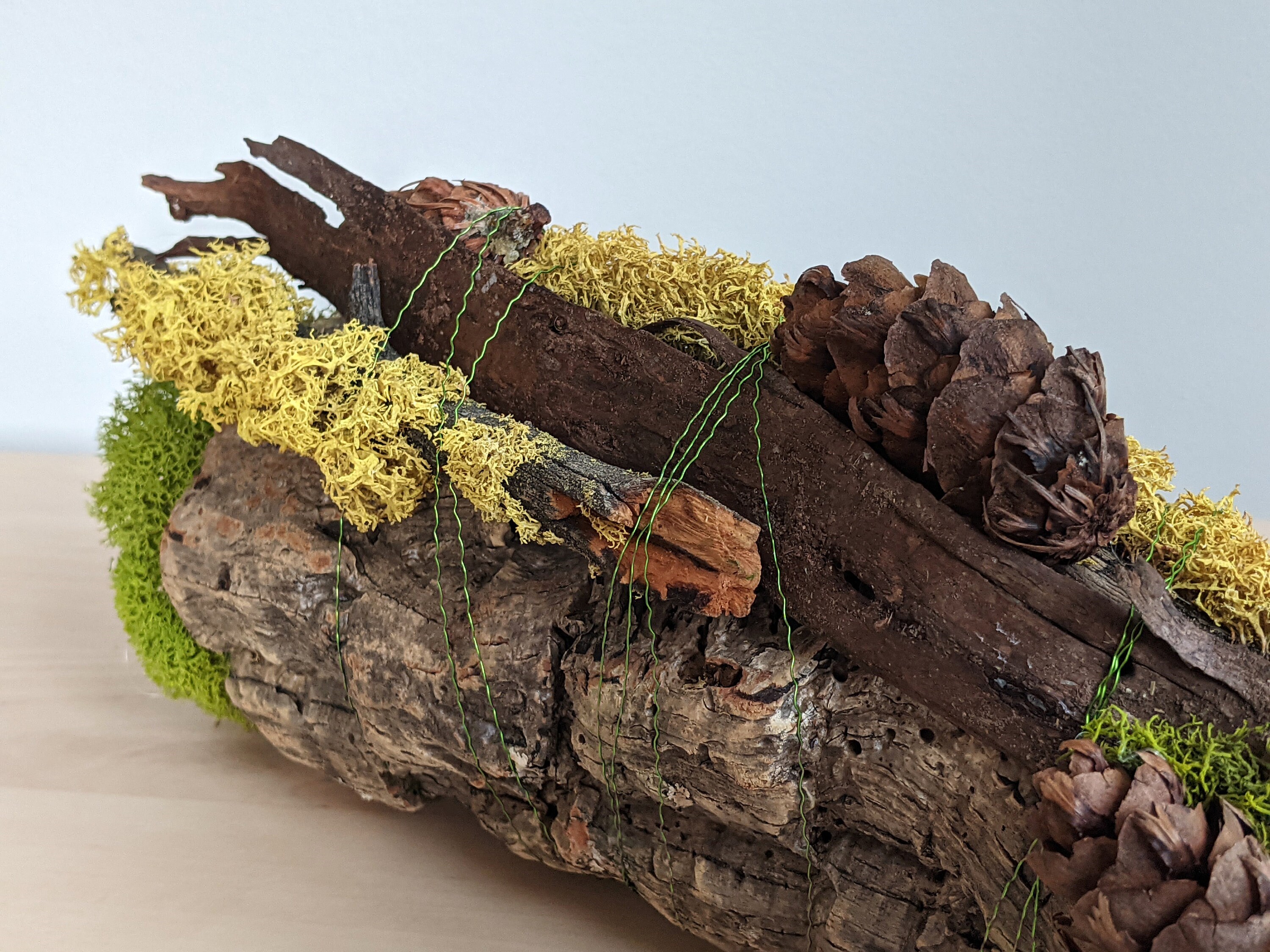 Moss Coffee Table Centerpiece Nature Desk Decoration Office Forest