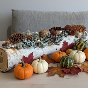 Birch Log Fall Centerpiece: Rustic Thanksgiving Table Decor with Moss, Pinecones & Branches | USA - NO TARIFFS