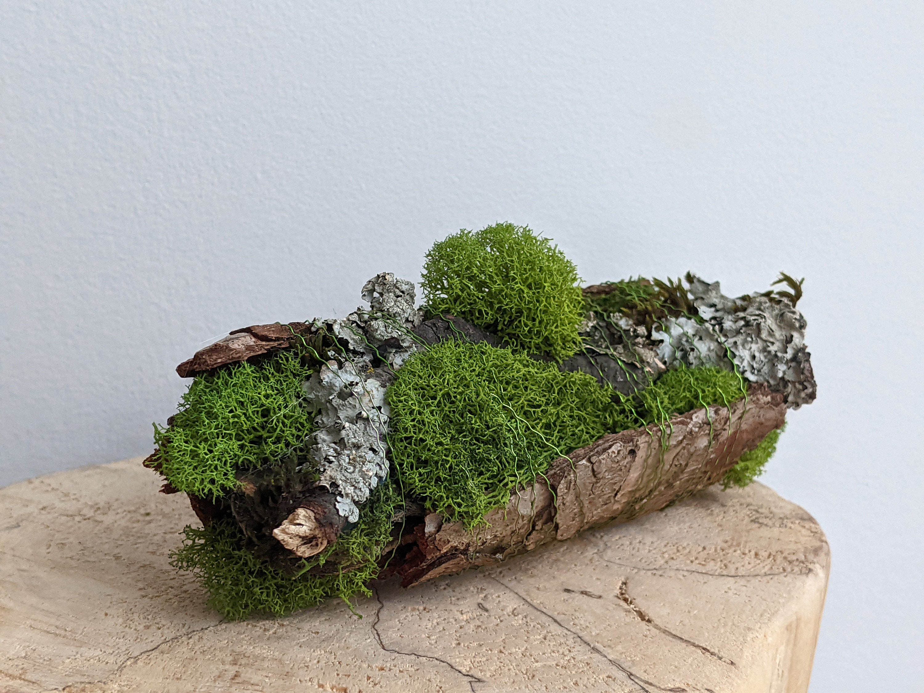 Canada Wide Delivery Available for a Charge, Delivery in GTA. Moss Bowl,  Restoration Hardware Inspired. 