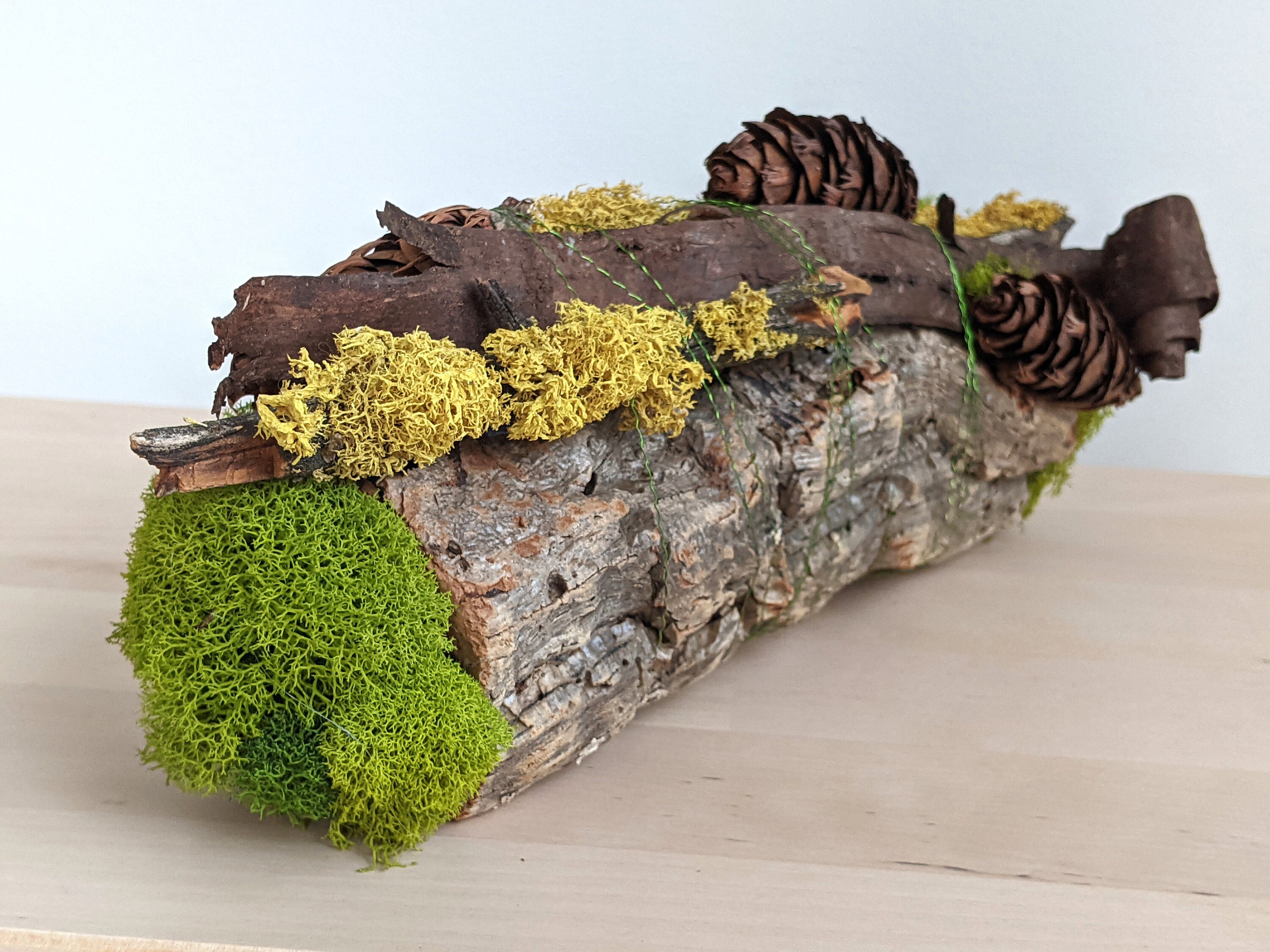 Moss Coffee Table Centerpiece Nature Desk Decoration Office Forest