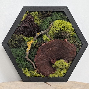 Preserved Moss Wall Art | Mushroom Wall Art | Fall Decor | Moss Wall Art | Cottage Core Decor | Mushroom Decor | Wall Decor | USA NO TARIFFS